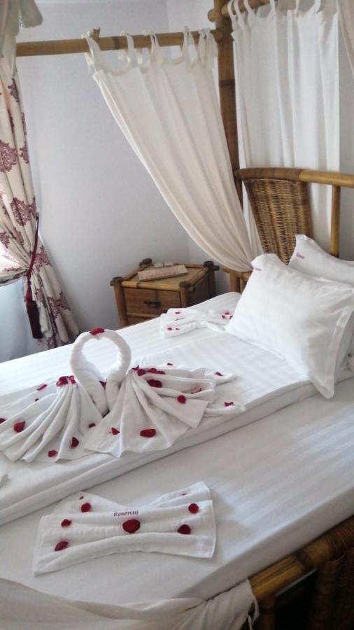 Pensiunea Rosenau Rîşnov Ngoại thất bức ảnh