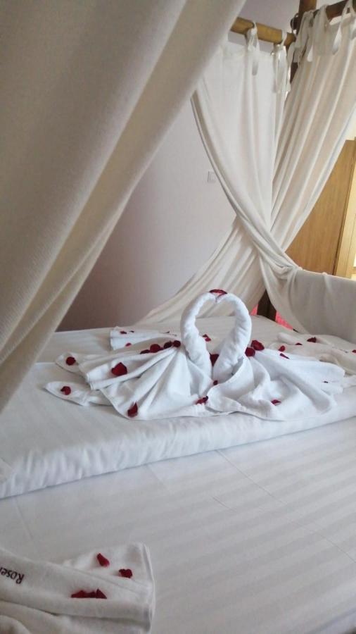 Pensiunea Rosenau Rîşnov Ngoại thất bức ảnh